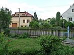 Třibřichy