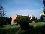 Borovina