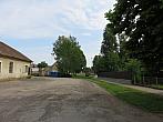 Třibřichy