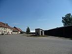 Třibřichy