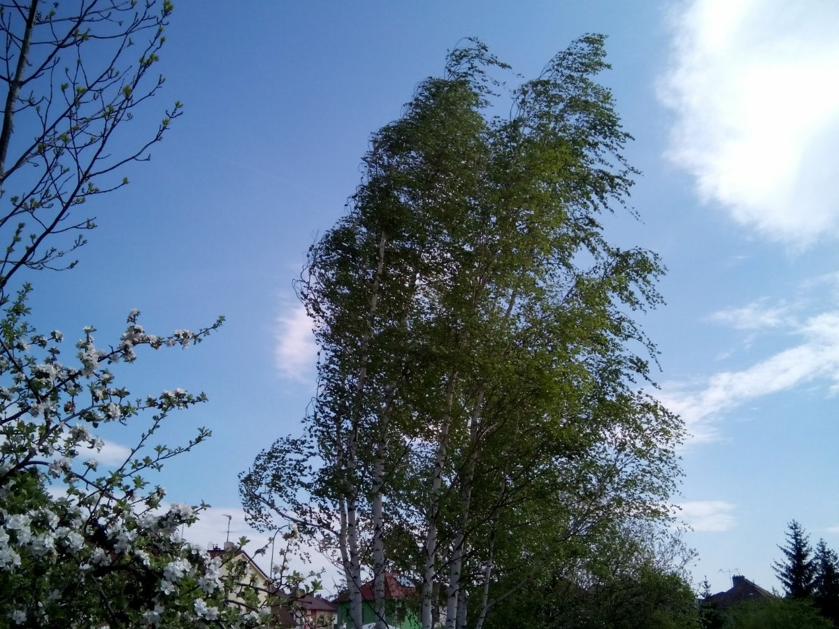 Třebíč-Borovina