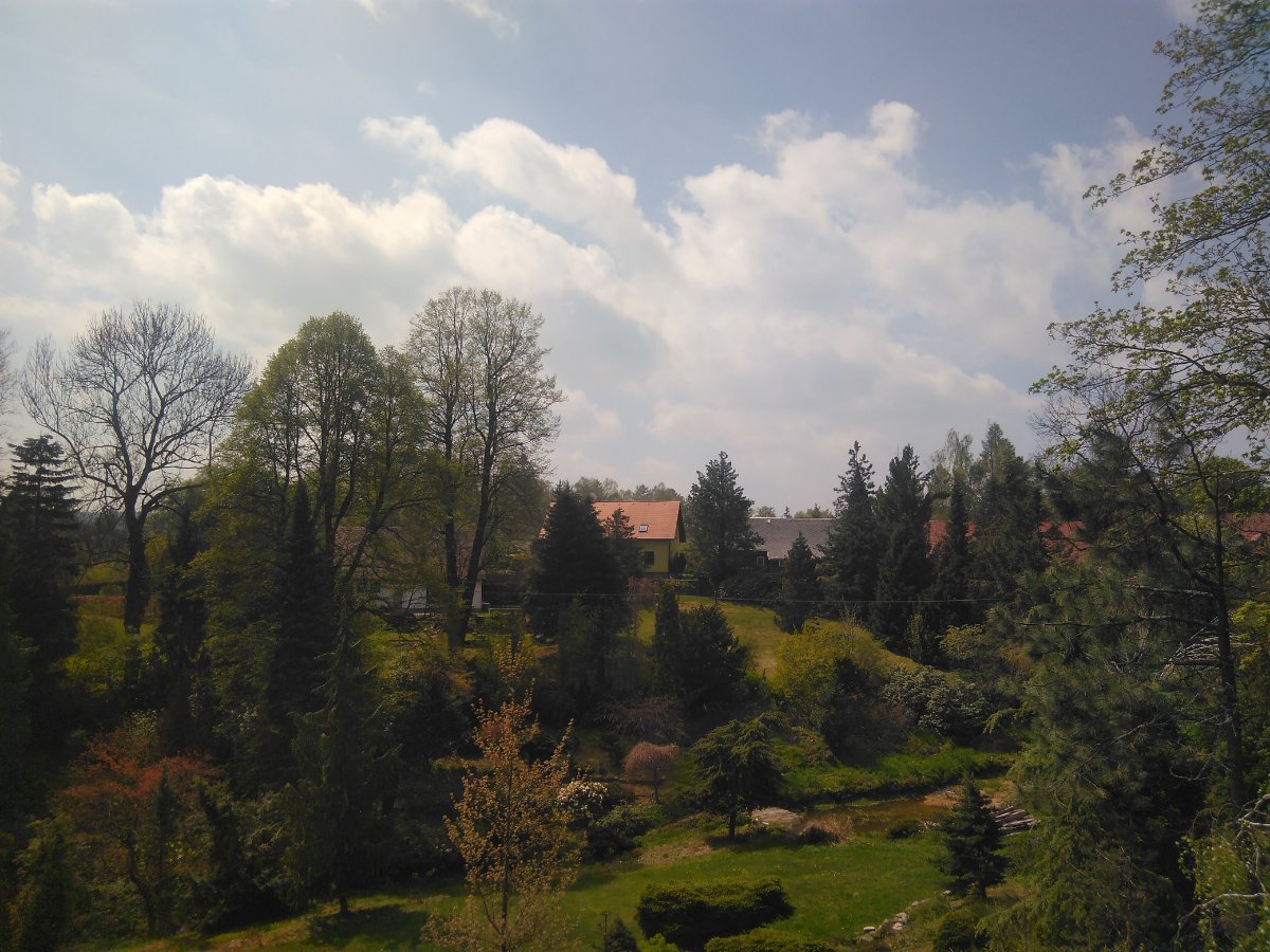 Sněžná