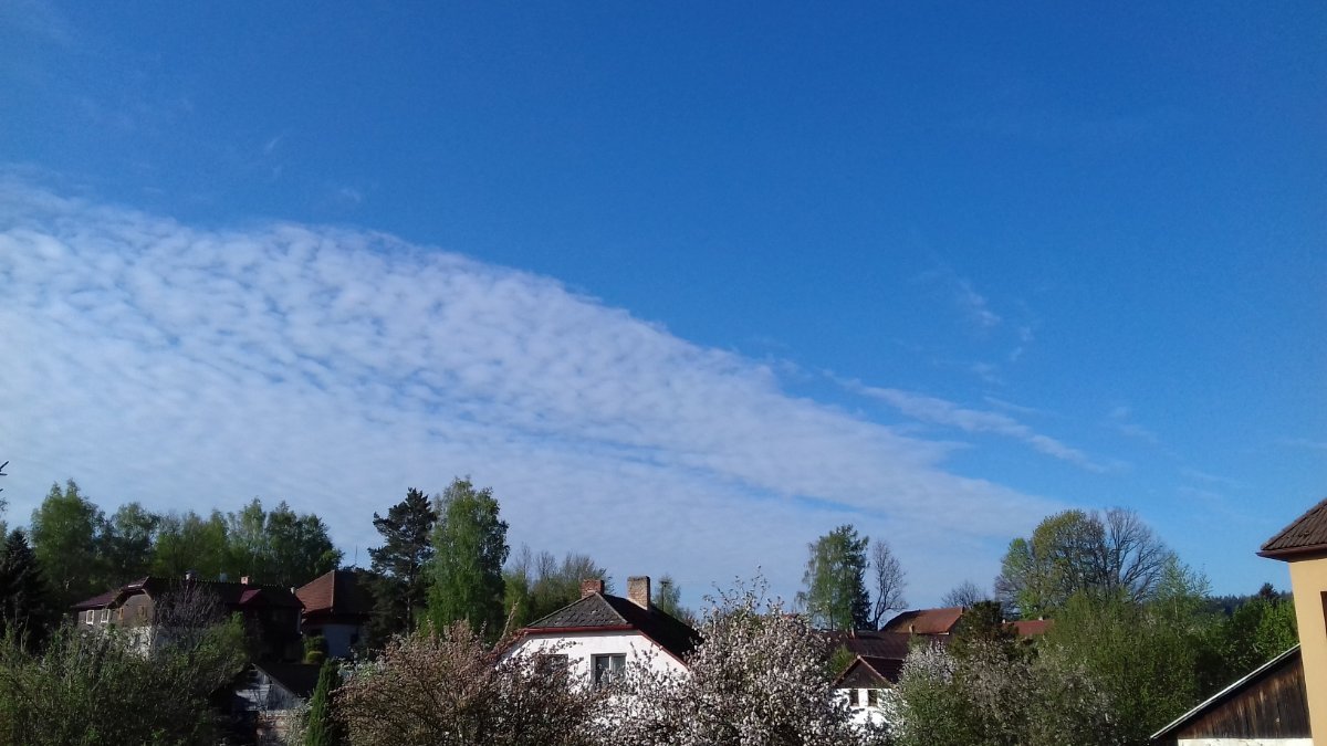 Olešná