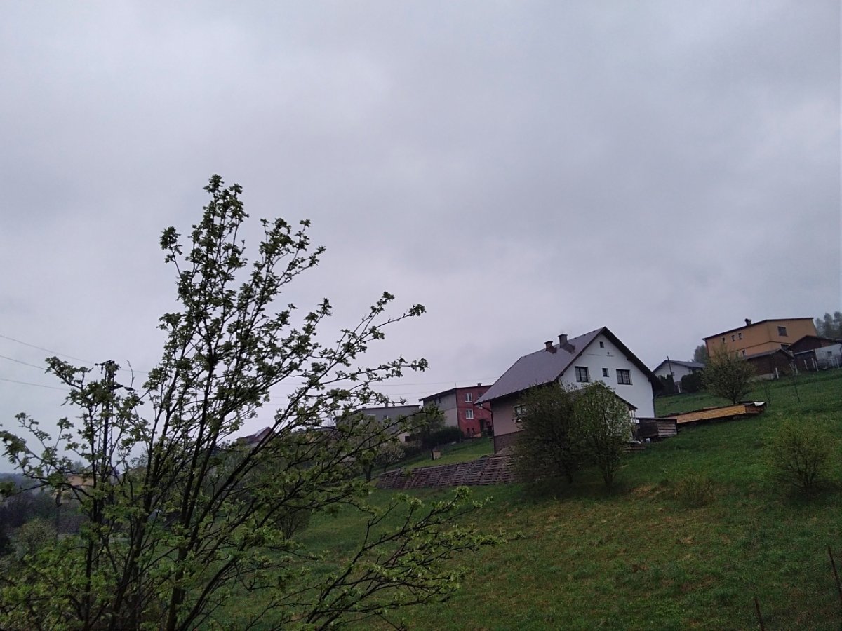 Skalité