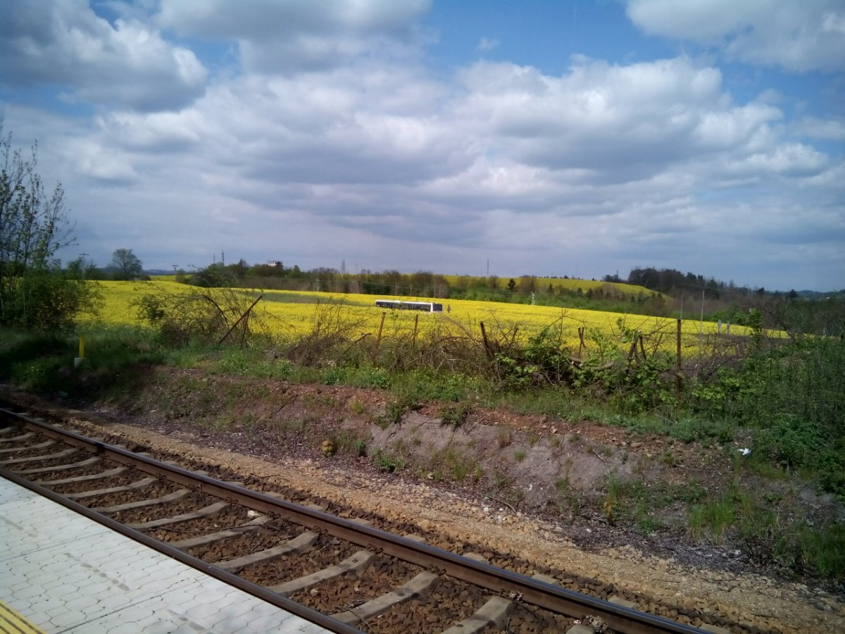 Třebíč-Borovina