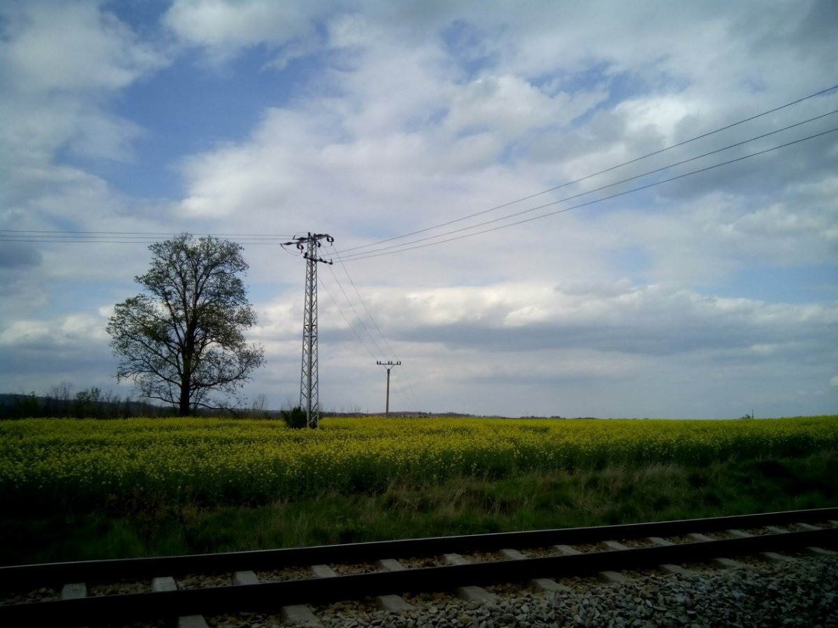 Třebíč-Borovina