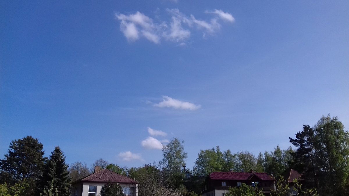 Olešná