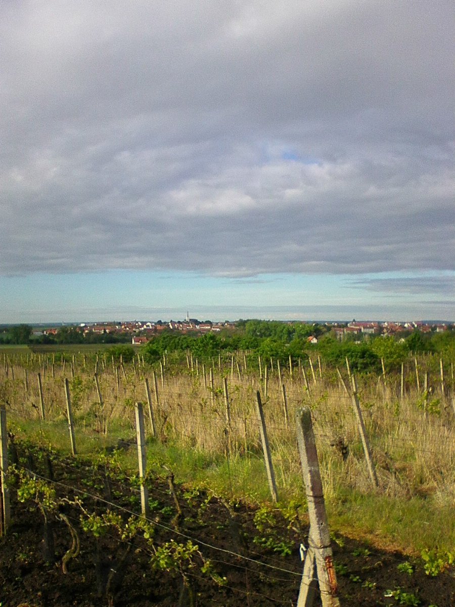 Moravský Žižkov