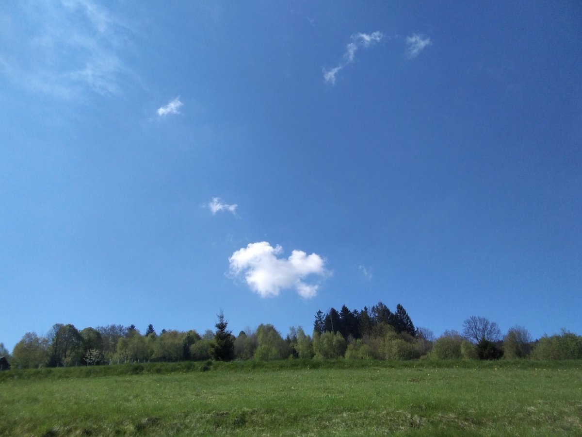 Skalité