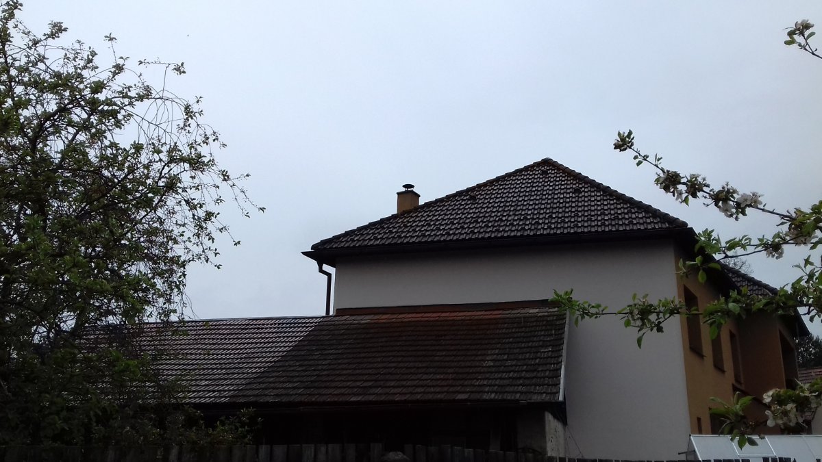 Olešná