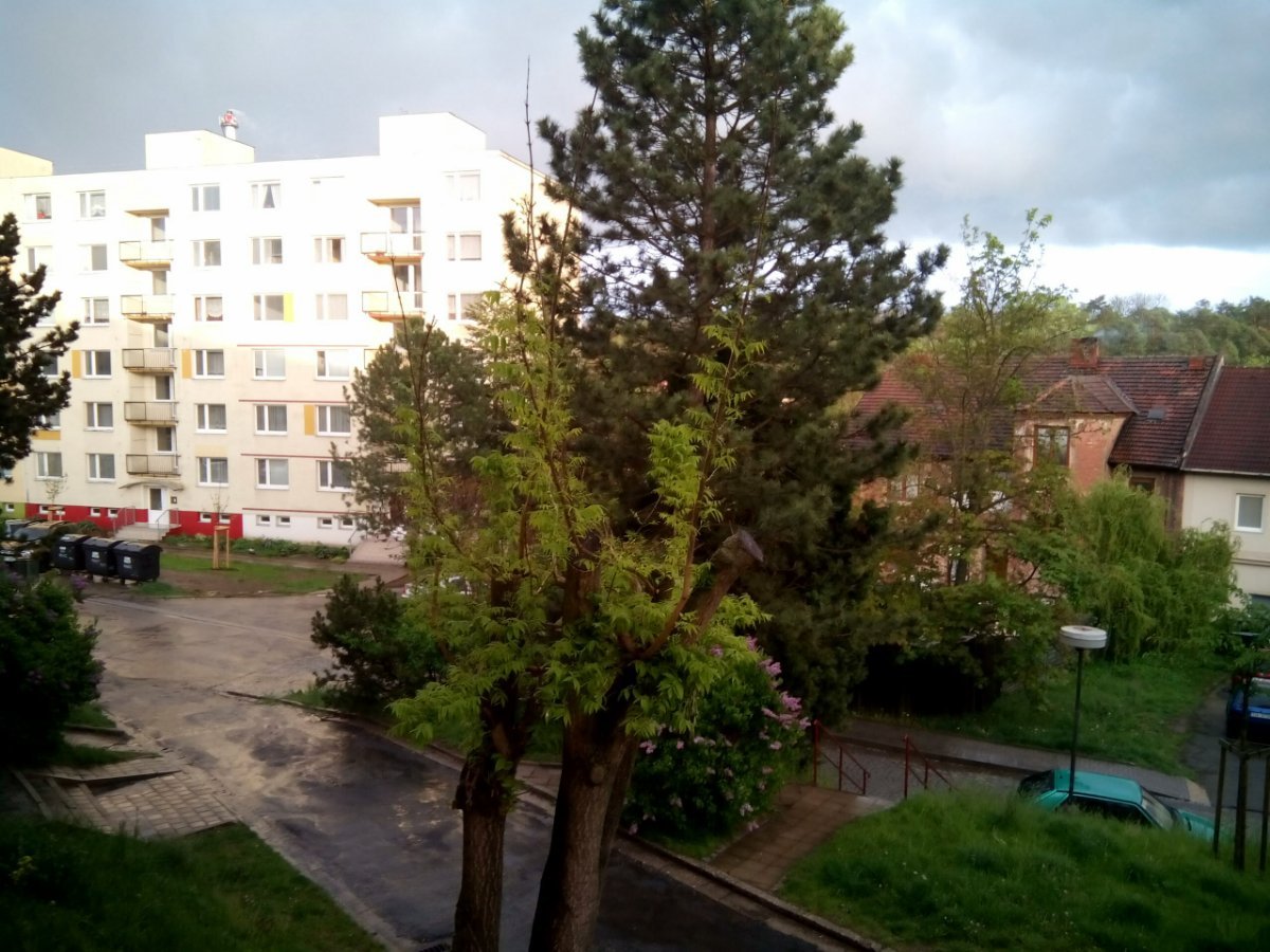 Borovina