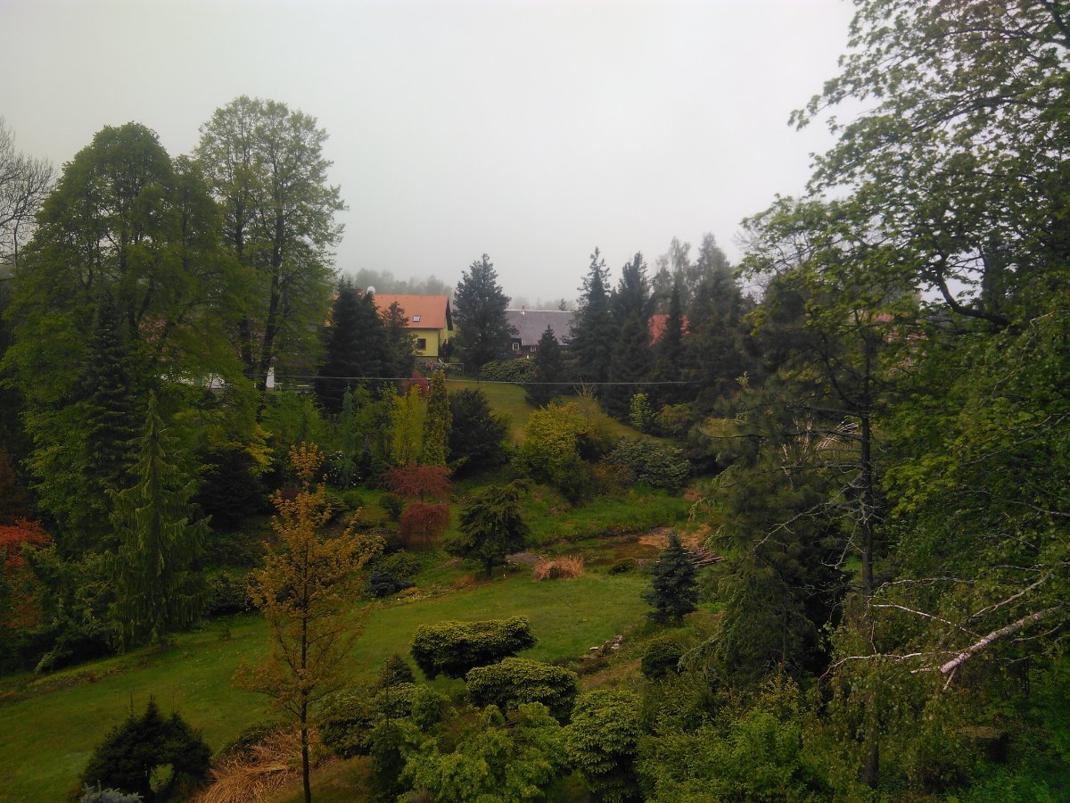 Sněžná