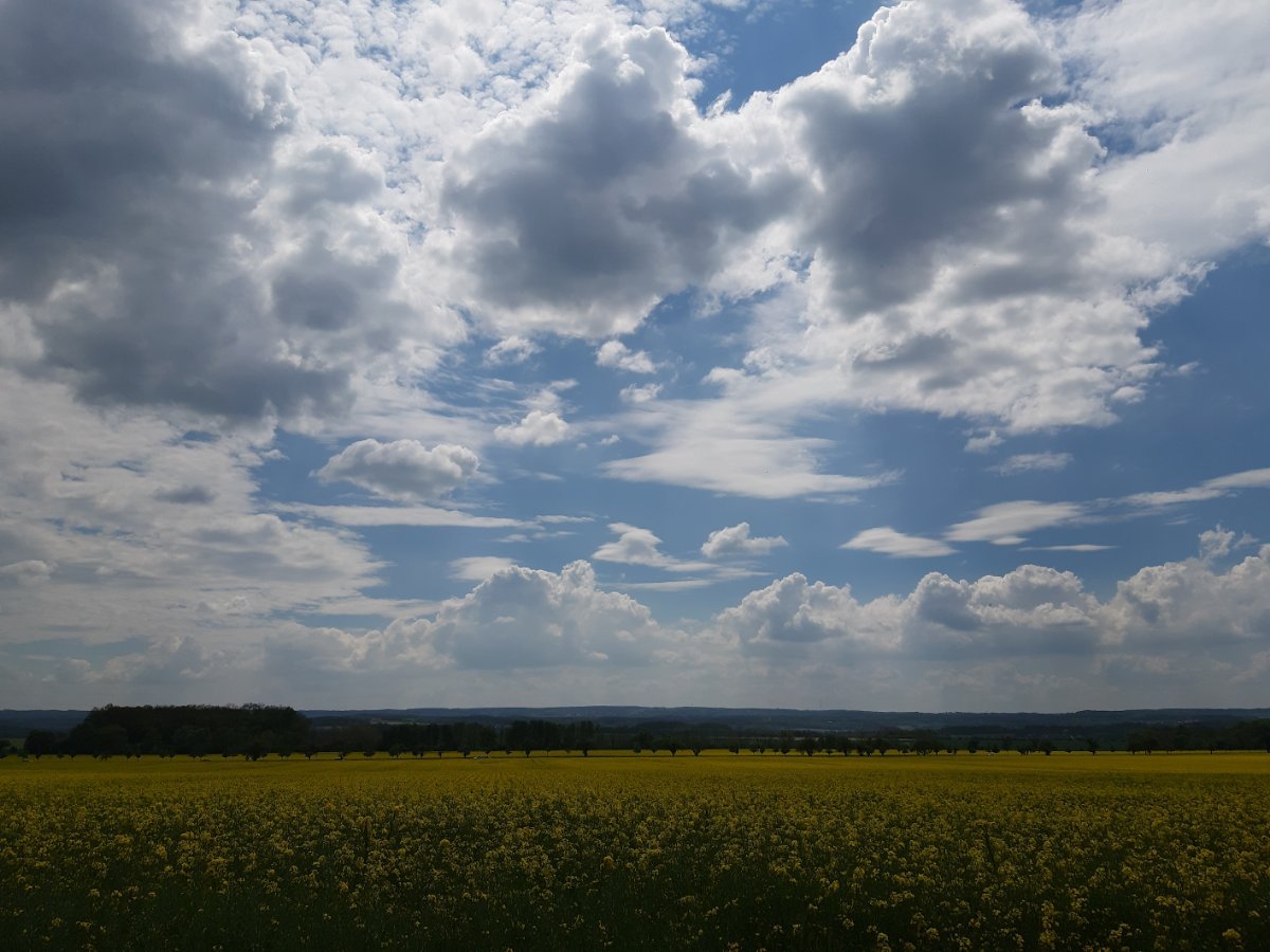 Bítovany