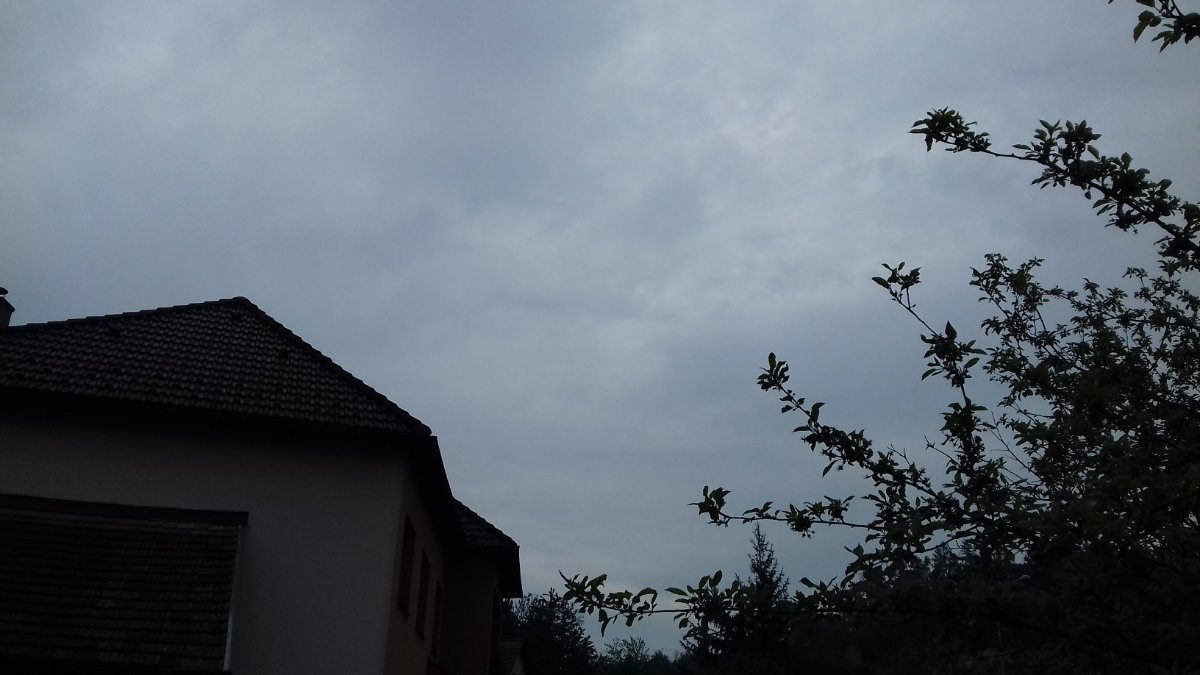 Olešná