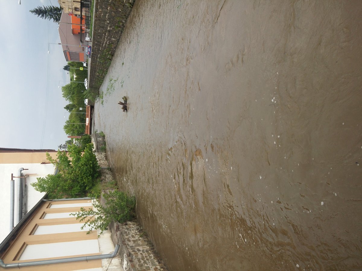 Bílovec