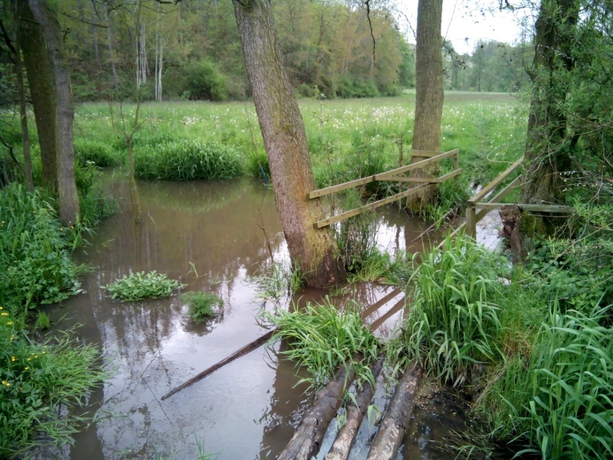 Třebíč-Borovina