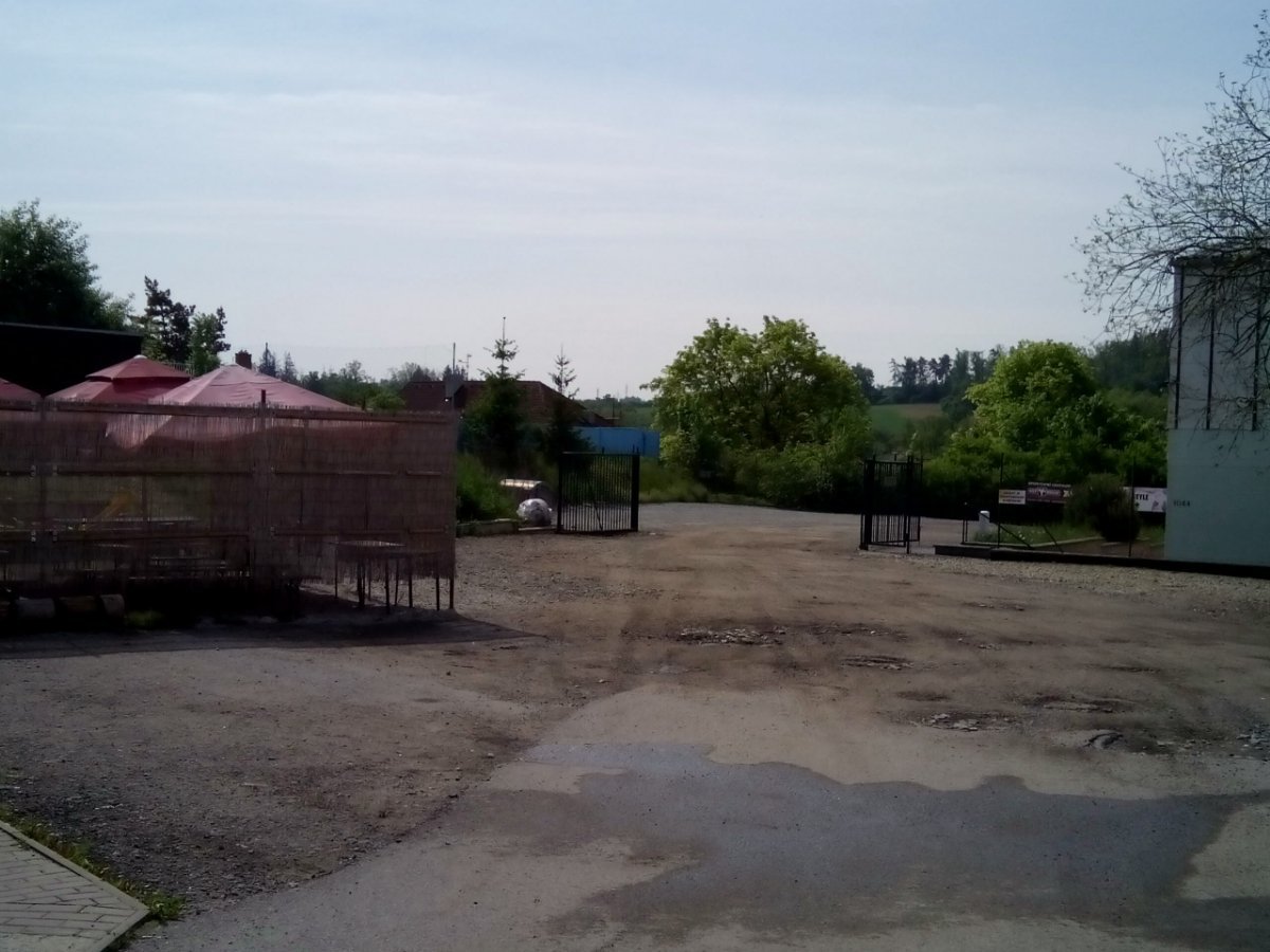 Borovina