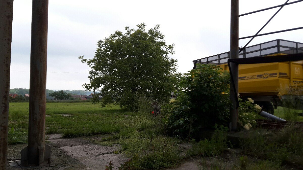 Bolelouc