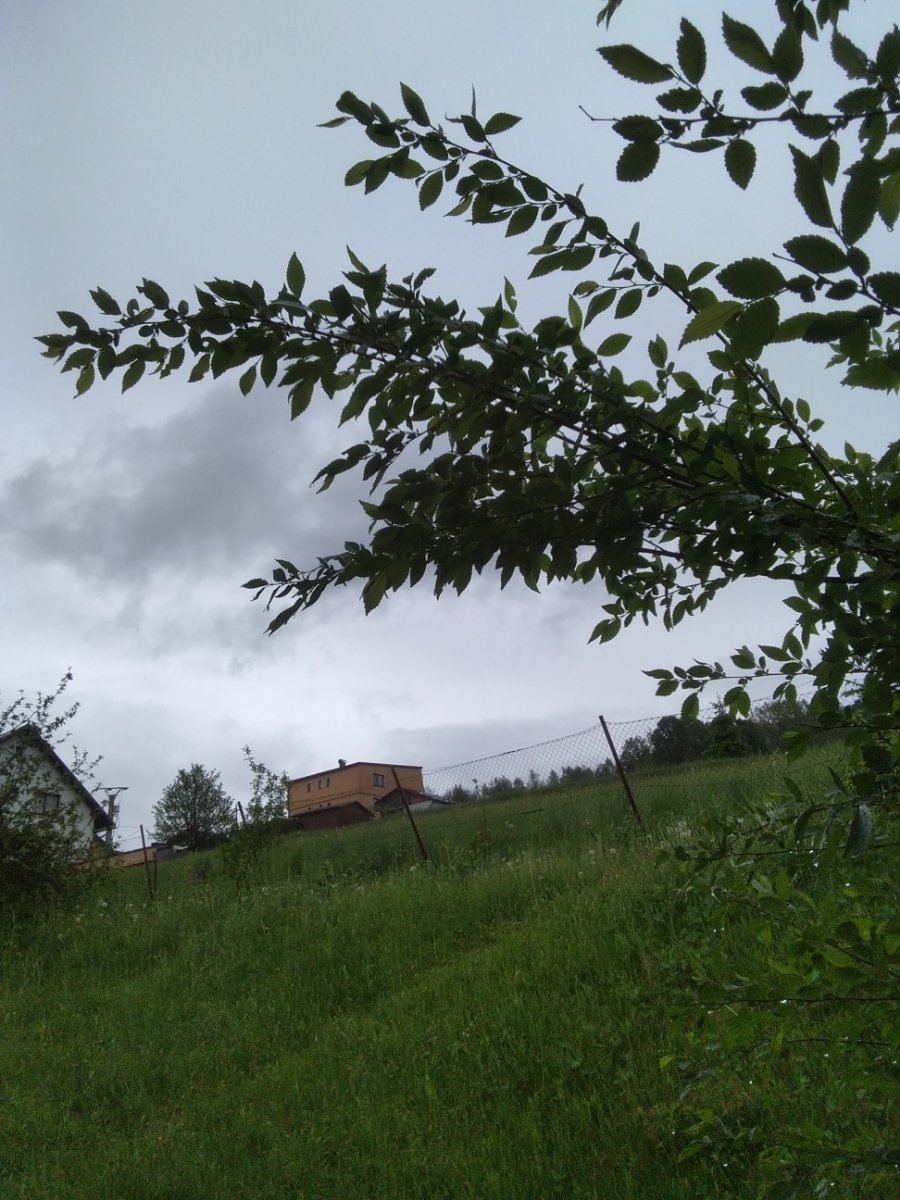 Skalité