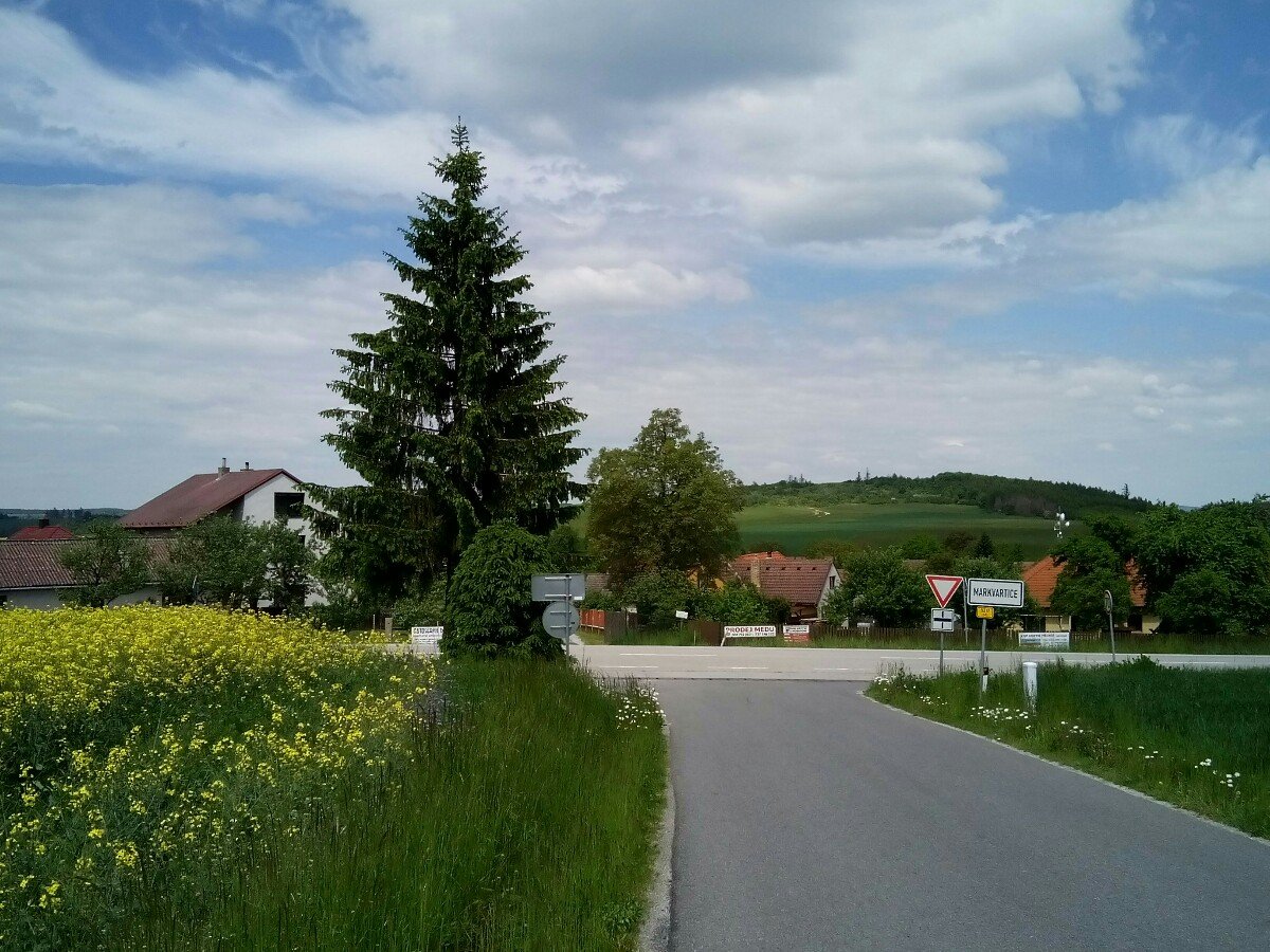 Markvartice