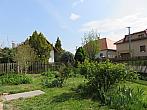 Třibřichy