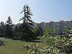 Neratovice