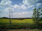 Třebíč-Borovina