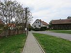 Třibřichy