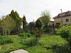 Třibřichy
