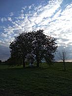 Pacov