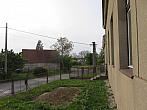 Třibřichy