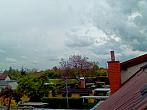 Hořice - Libonice