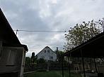 Třibřichy