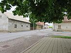 Třibřichy