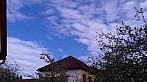 Olešná