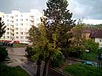 Borovina