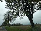 Pacov