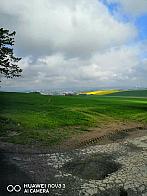 Jihlava