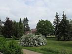 Neratovice