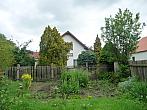 Třibřichy