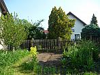 Třibřichy