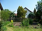 Třibřichy