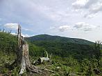 Jirkov