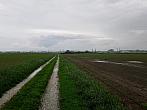Císařov