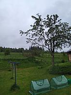 Skalité