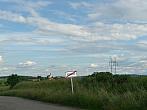 Třibřichy