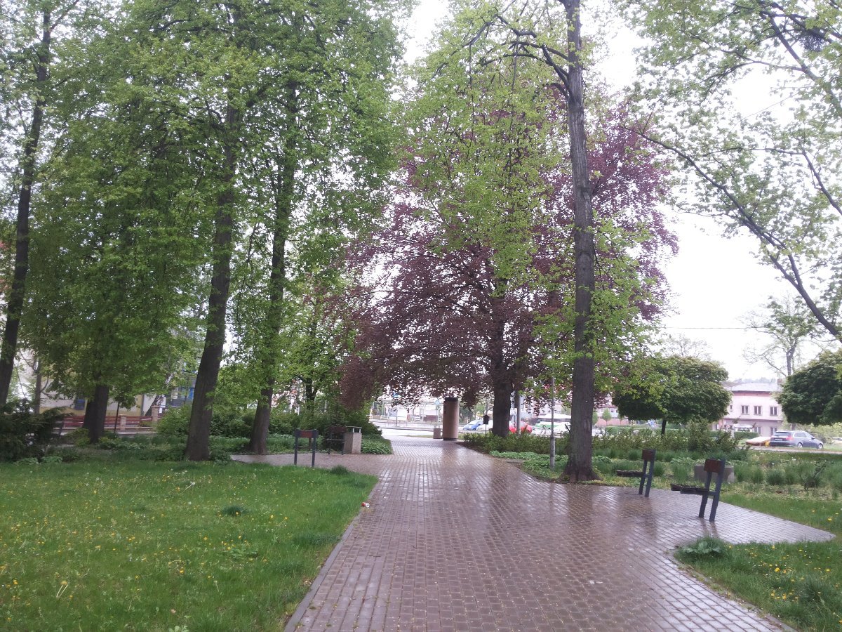 Český Těšín