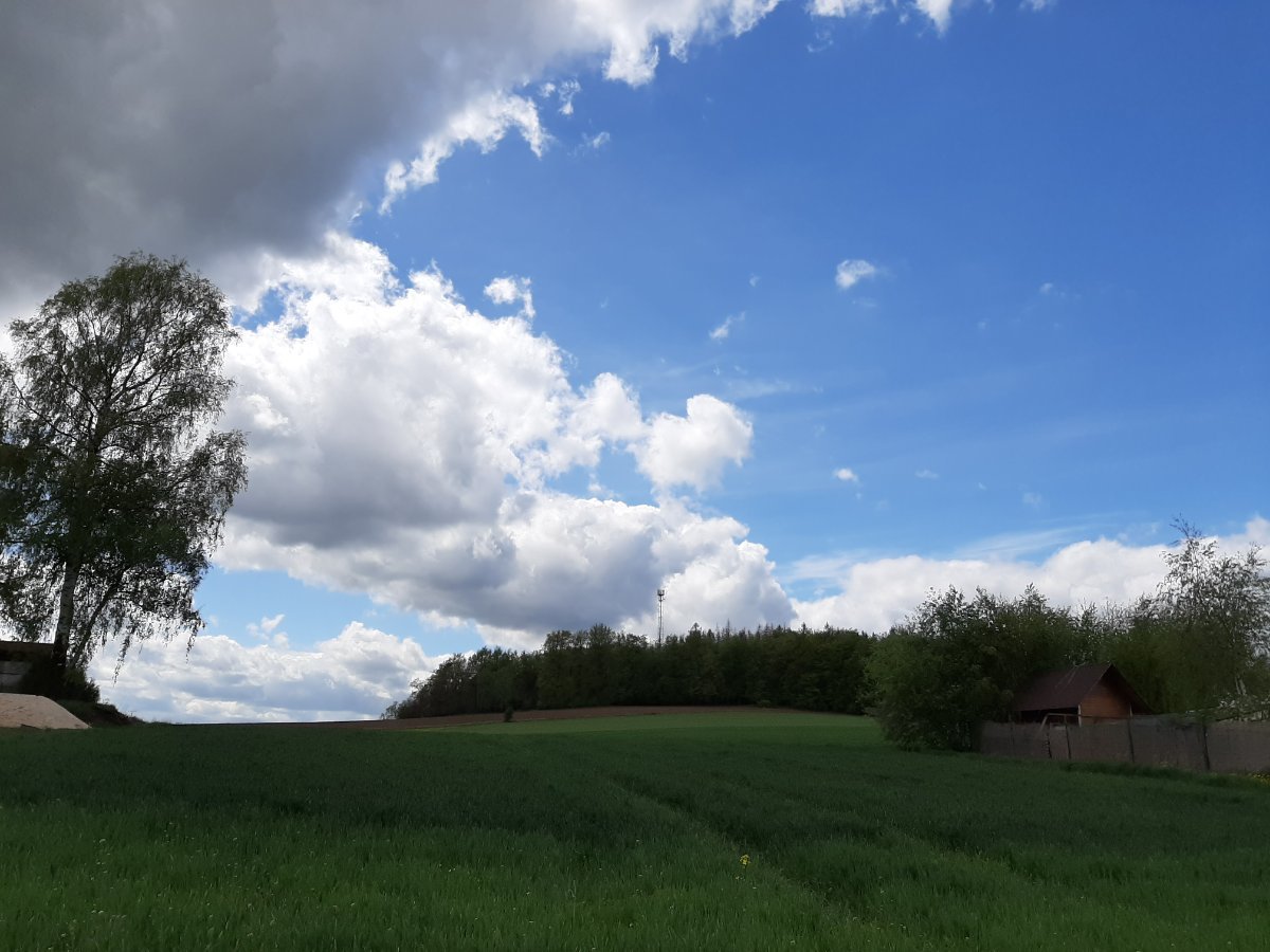 Zajíčkov