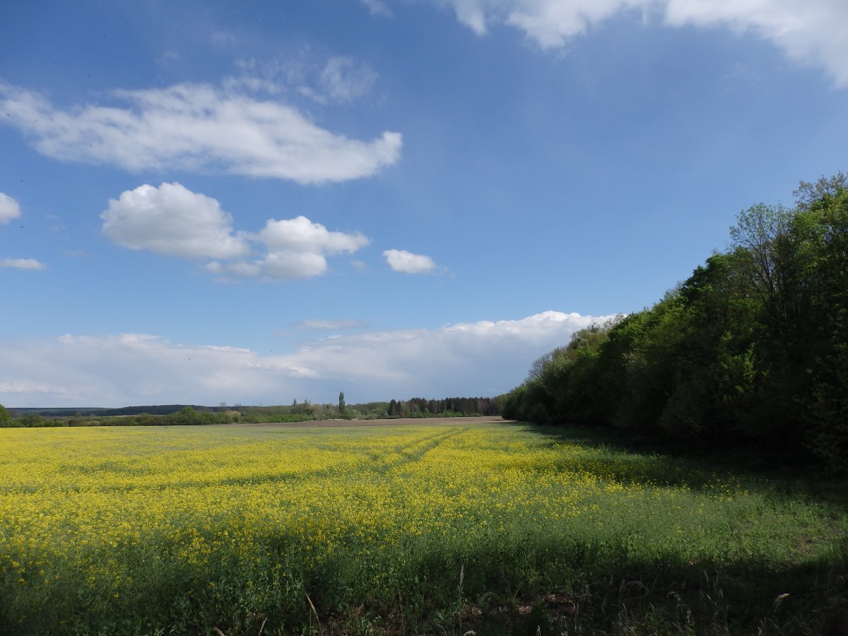 Dětenice-Brodek