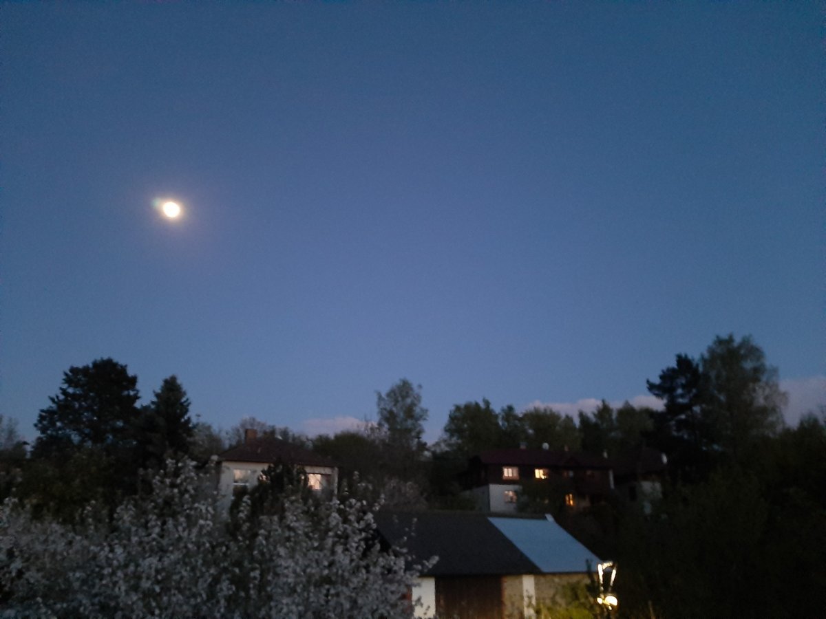 Olešná